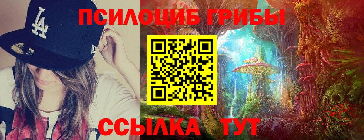 Галлюциногенные грибы ЛСД Черногорск