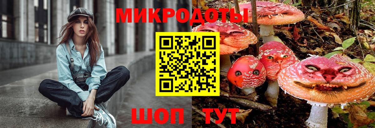 Черногорск  Галлюциногенные грибы Psilocybe  Вход с VPN 